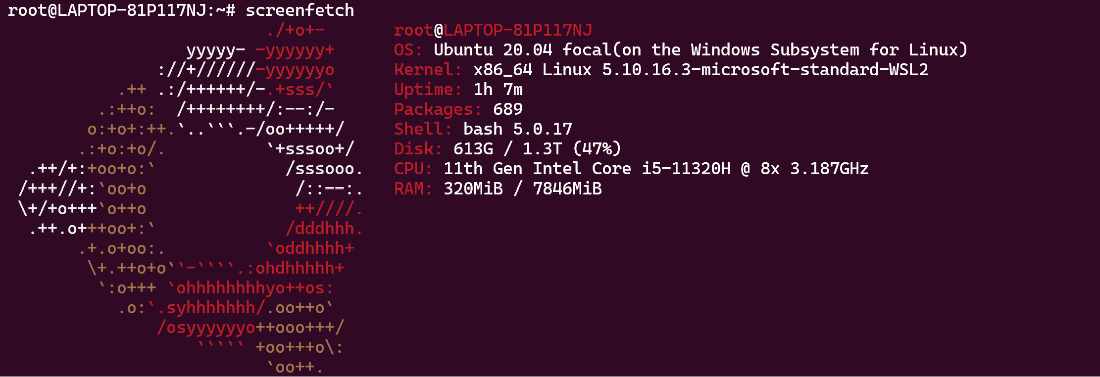 wsl-ubuntu-config